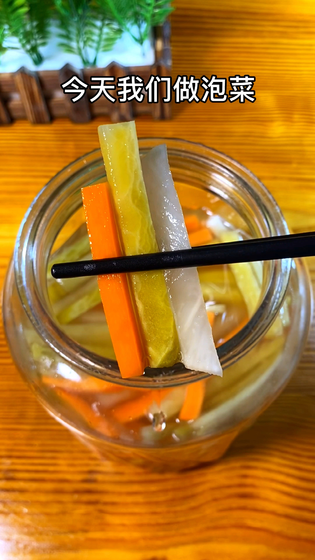 好吃的泡菜好吃的关键是这袋泡菜发酵菌内含大量乳酸菌快速发酵只需两天即可开吃