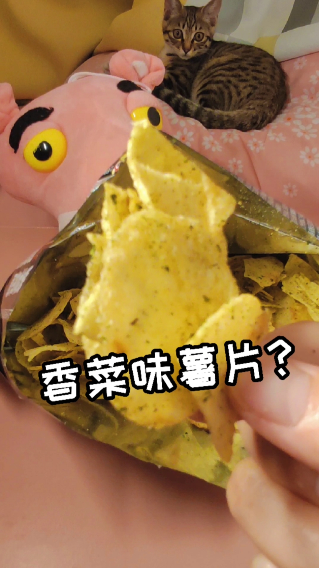 #该减肥了#香菜味薯片,他来啦～
