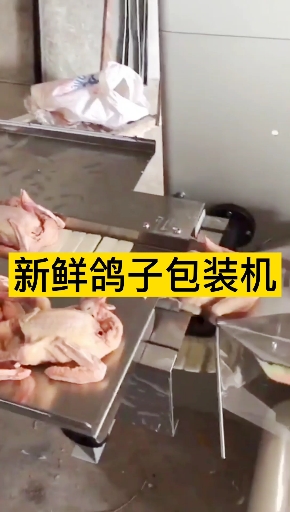 新鲜鸽子包装机整个冰冻鸡包装机