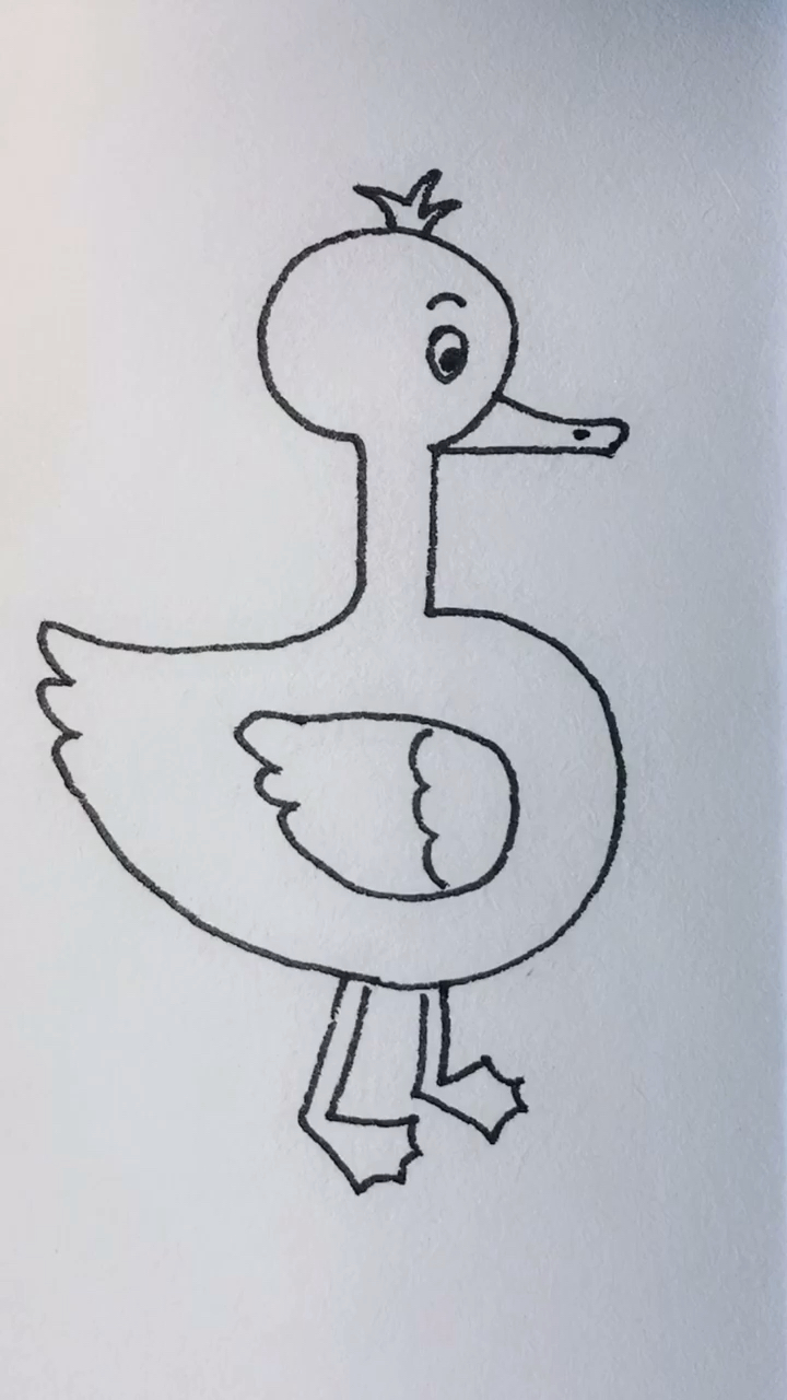 学画小鸭子简笔画