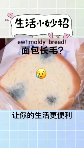 #生活小妙招#面包长毛了怎么办