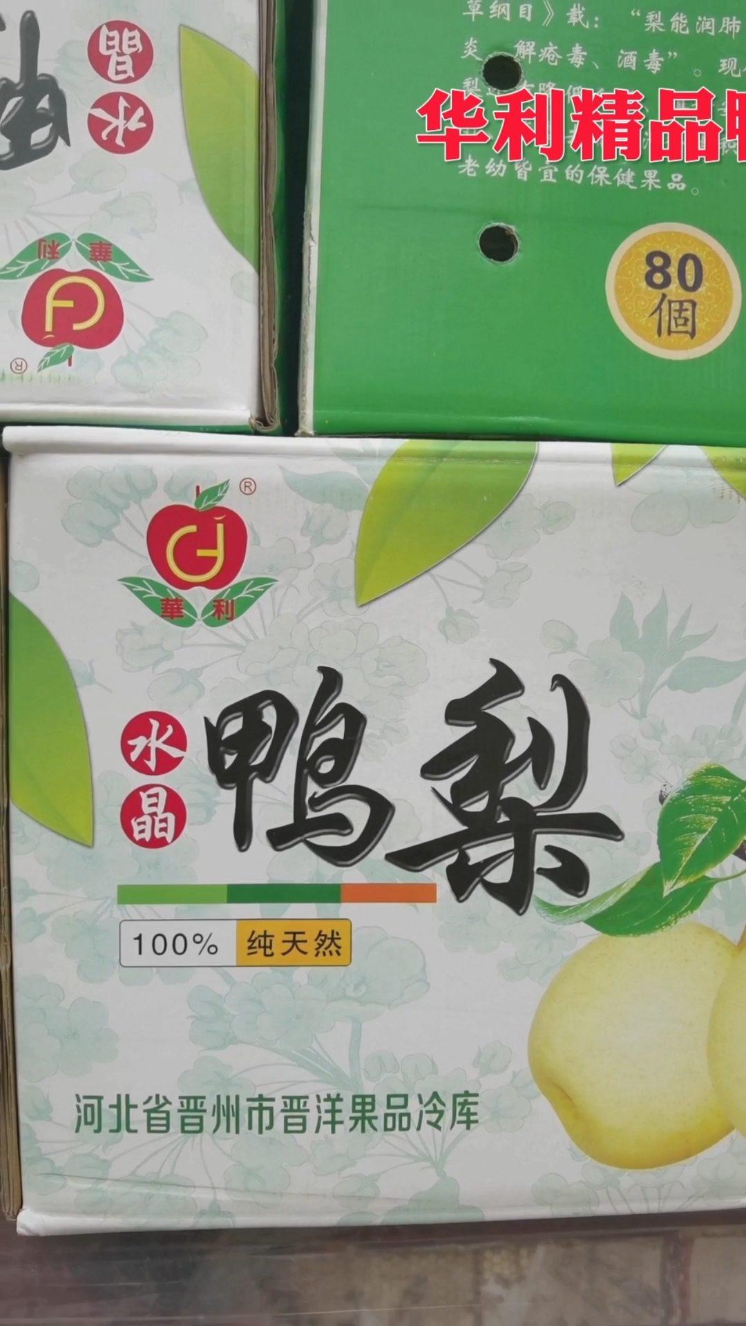 华利精品水晶鸭梨出库中
