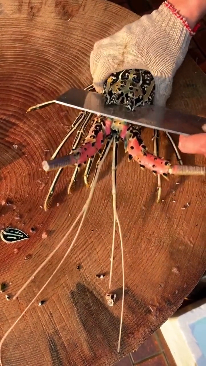 #美食#中华锦绣龙虾快速处理龙虾头,煲粥最佳之选