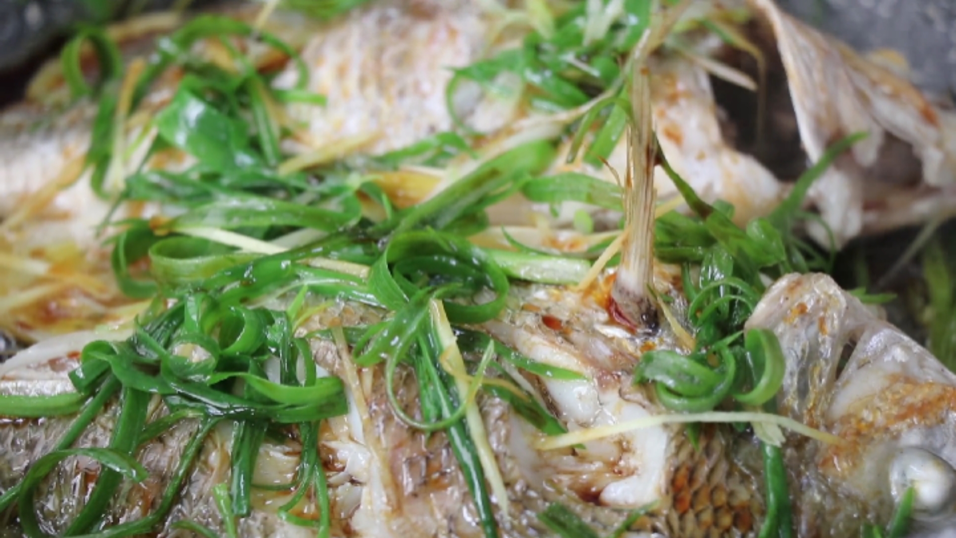 真正的无水蒸鱼,简单易学,非常好吃,你也试一下吧