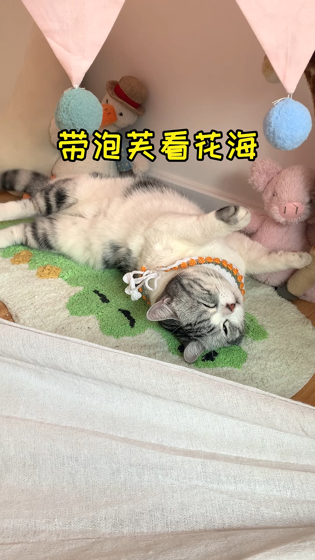 #家有萌宠#周末带泡芙打卡了粉黛花海