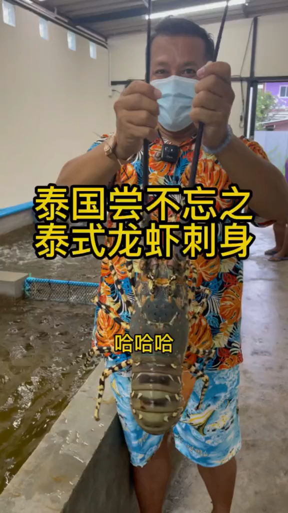 #自制美食#泰国尝不忘之泰式龙虾刺身