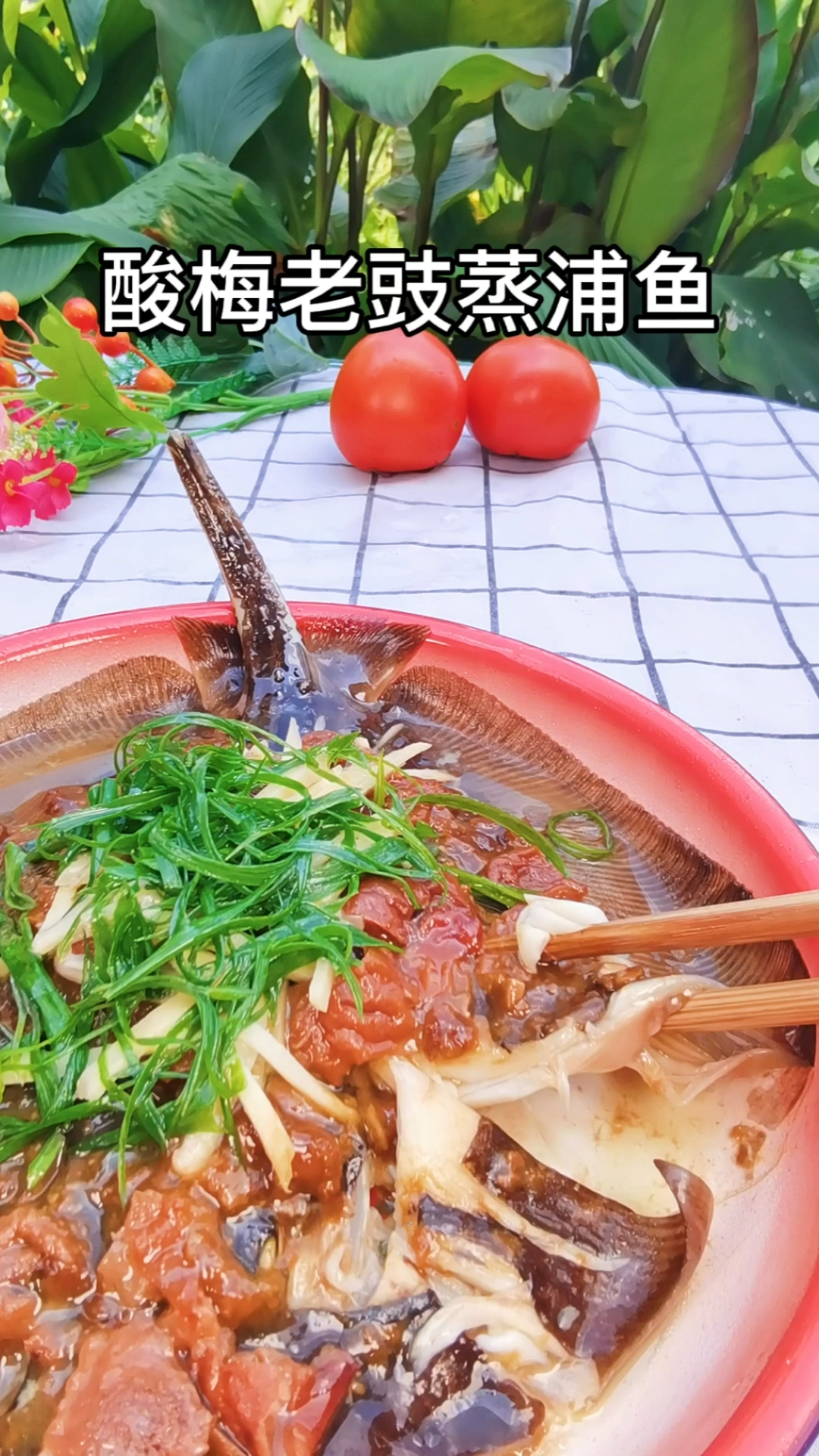 #家乡特色美食#浦鱼有人吃过吗,全身无刺,只有软骨肉质鲜嫩,非常美味