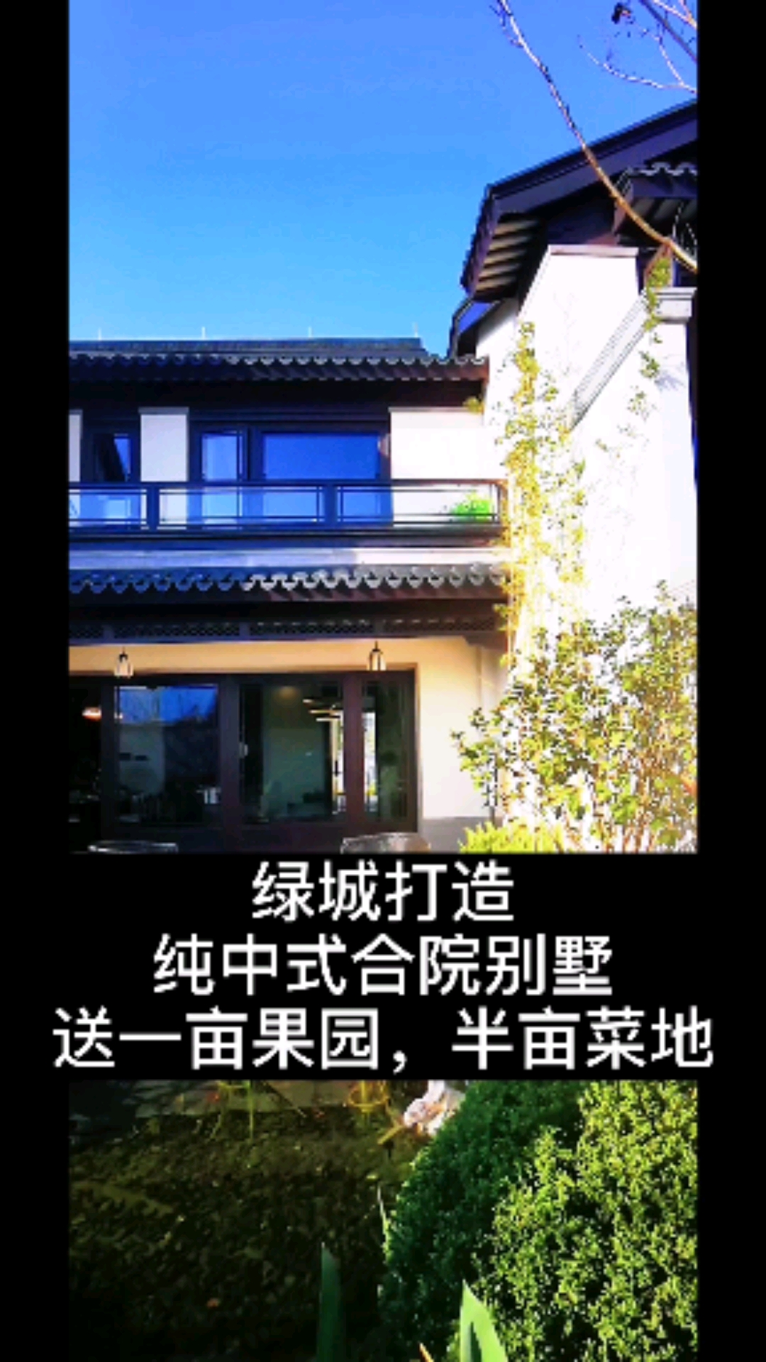#过好冬天#过年时,门头挂上两个红灯笼,院子整点彩灯,把自己种的原生态萝卜青菜做年夜饭!