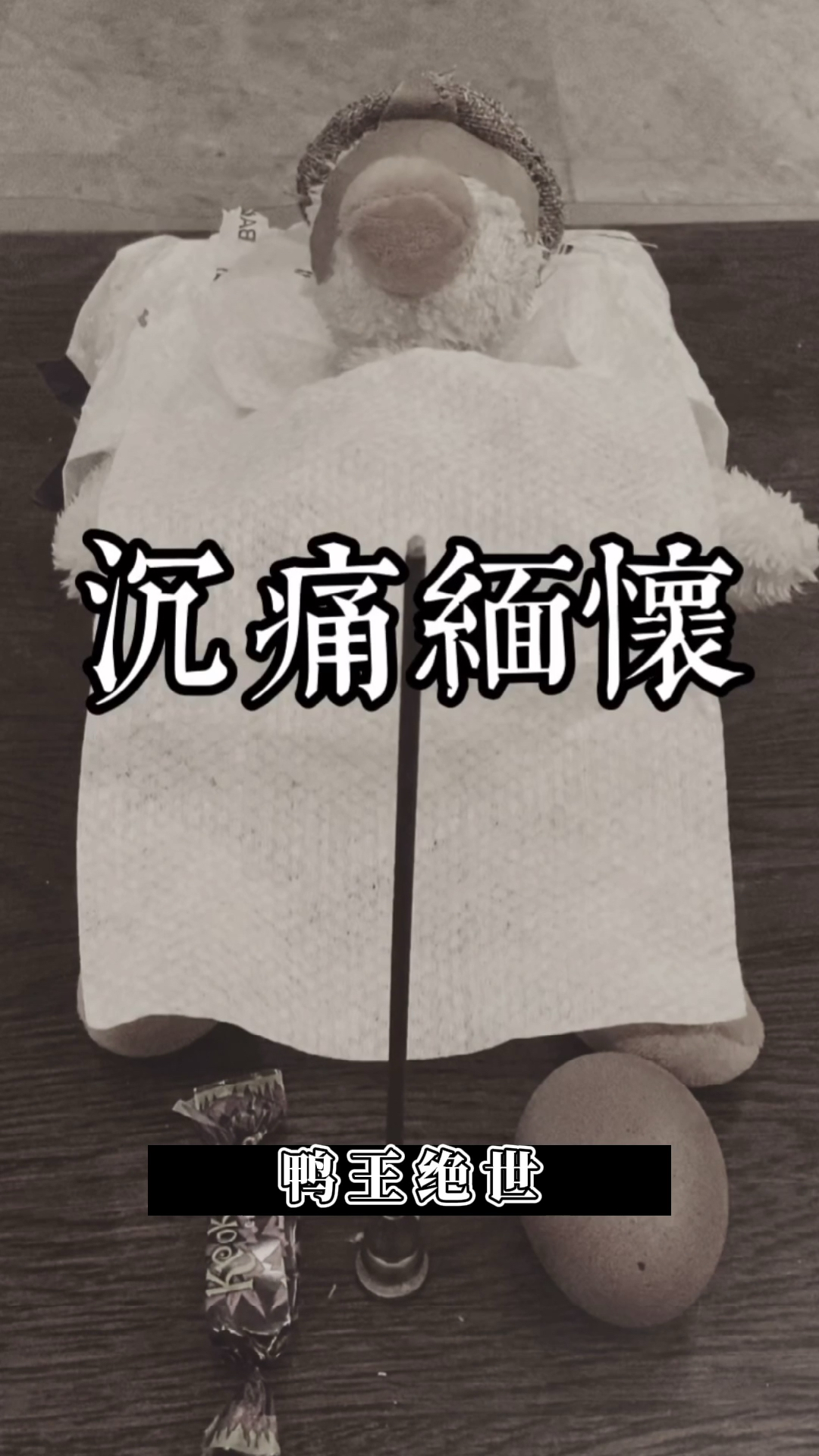 #孟菜鸭#鸭子:草率了