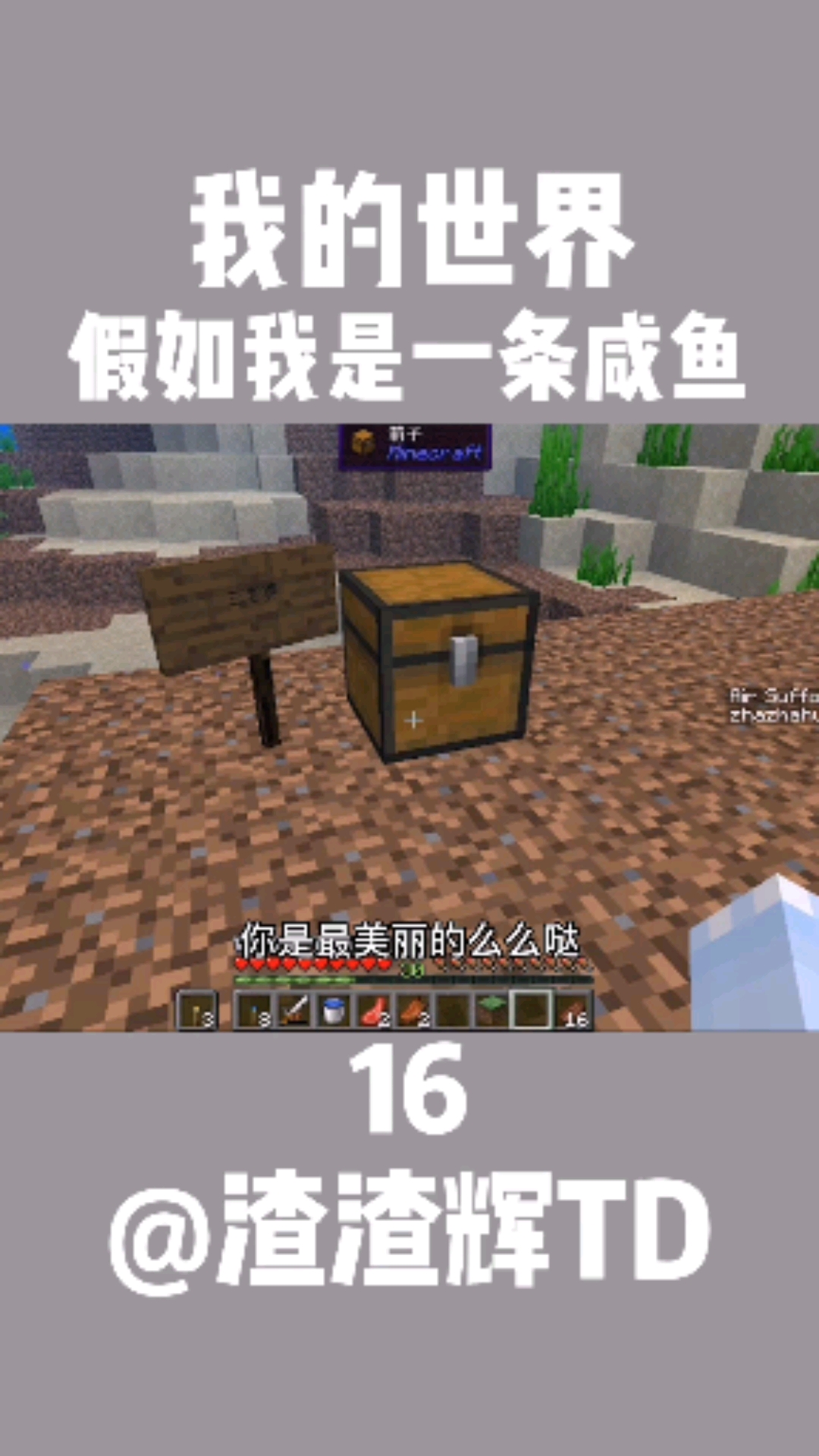 #我的世界#假如我是一条咸鱼