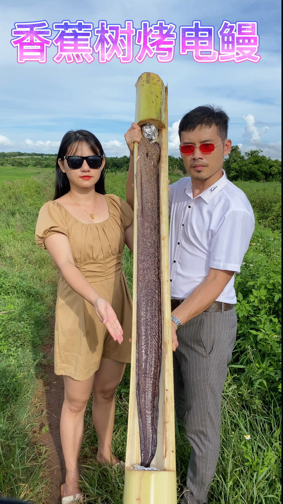 鳗鱼