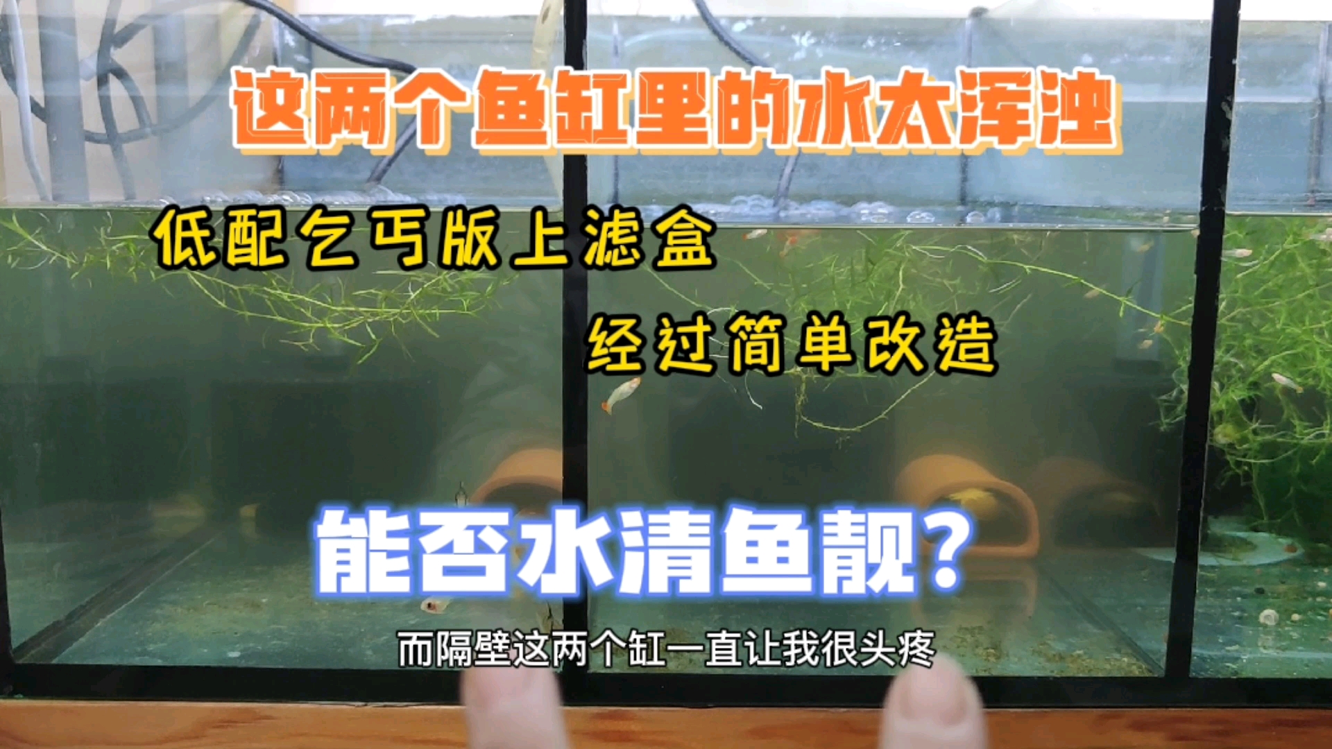 #记录生活#鱼缸水太浑，简单改造一个低配乞丐版上滤盒，能否水清鱼靓？