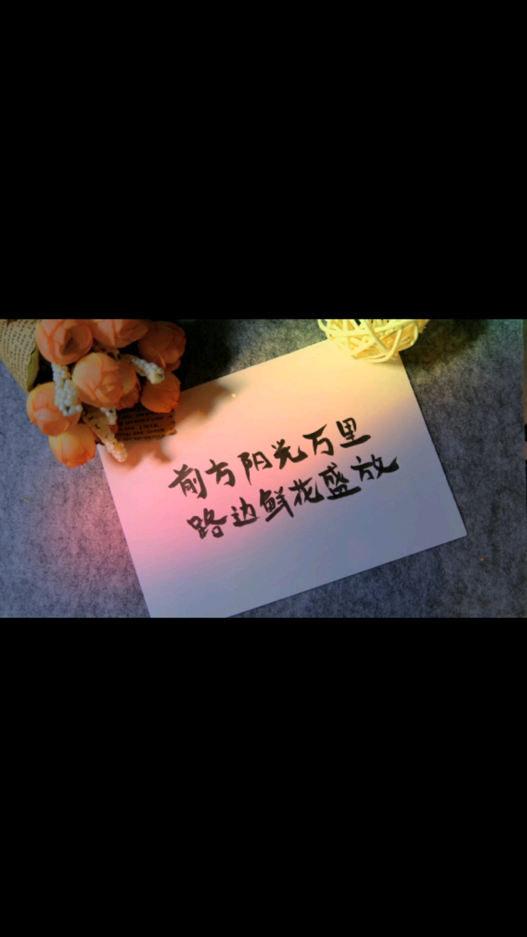 #文案#前方阳光万里,路边鲜花盛放