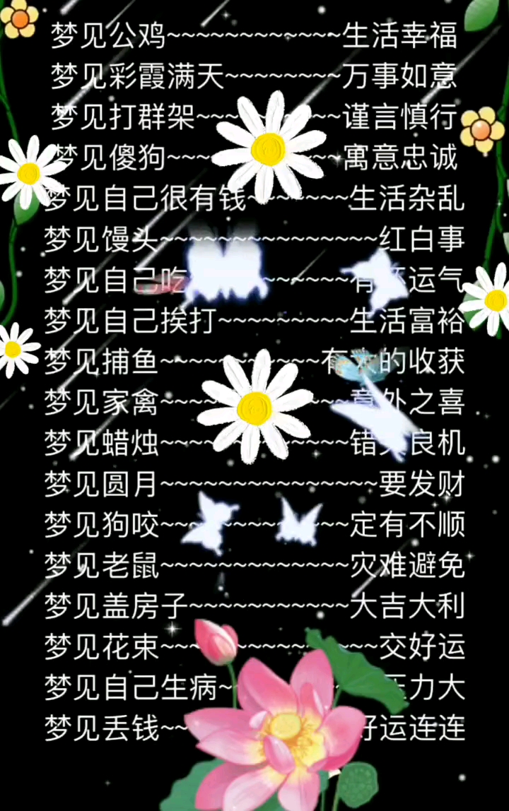 分享视频