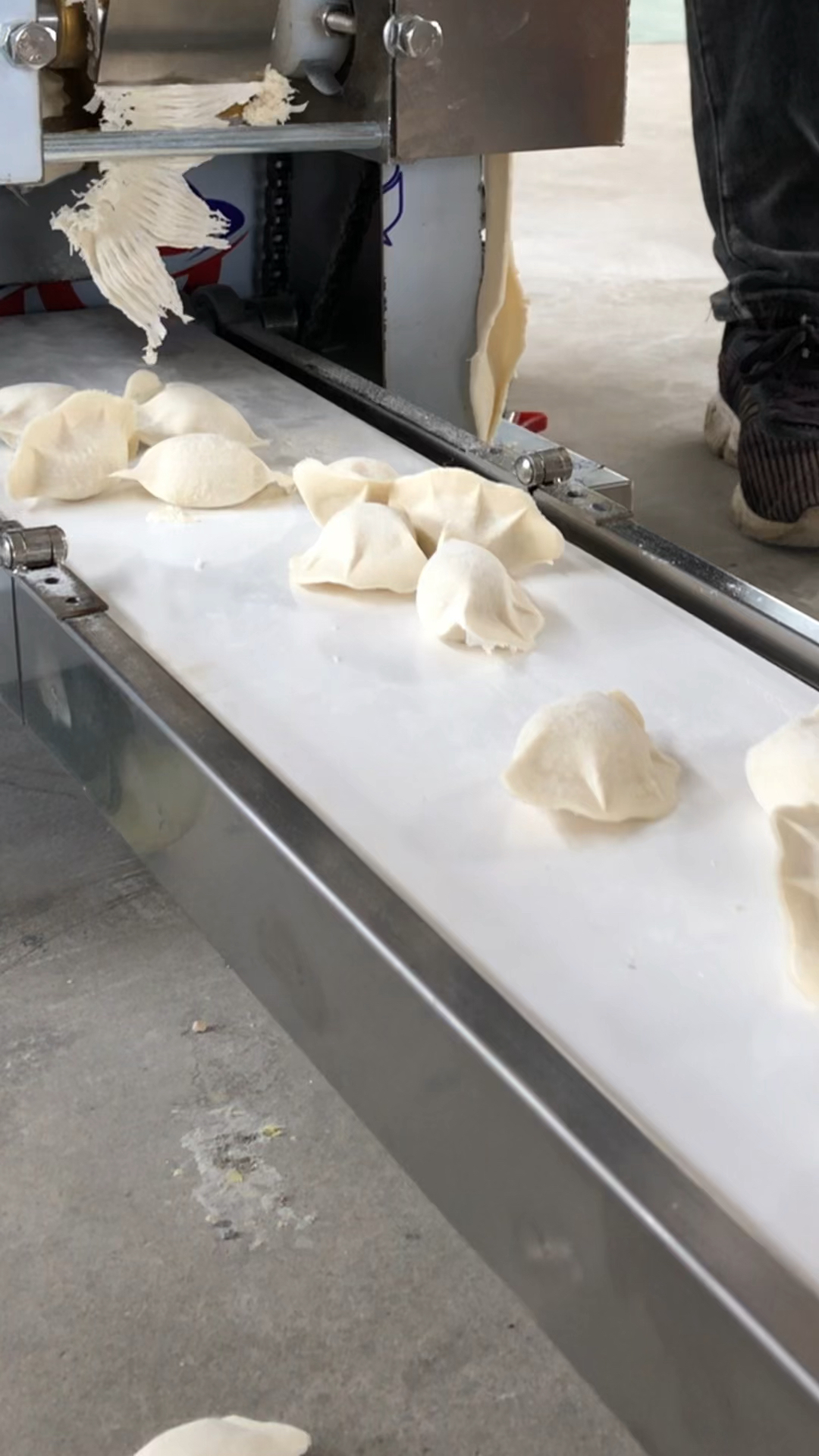 #饺子机#饺子机操作视频饺子一次成型