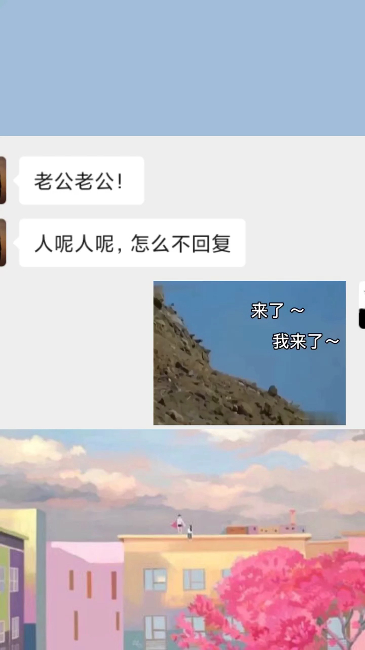 #表情包#