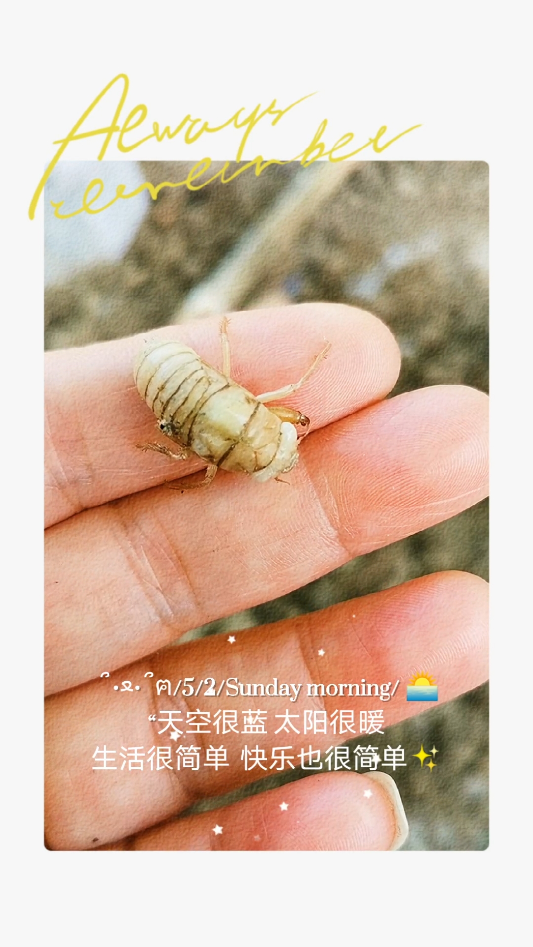 #你好,夏天#谁见过这个幼虫