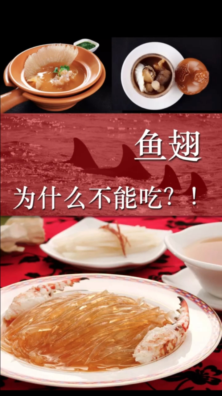 #营养健康#鱼翅为什么不能吃?!国人鼓吹千年的鱼翅营养成分不如豆腐?!孕期一定注意!