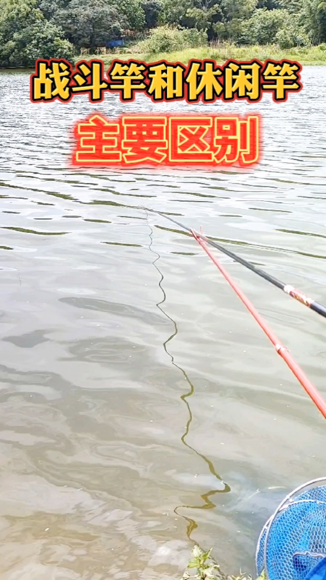 #钓鱼#鱼竿分类中的战斗竿和休闲竿有什么区别?