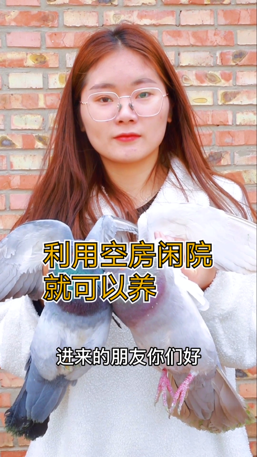 #肉鸽养殖#我们提供技术后期可以回收