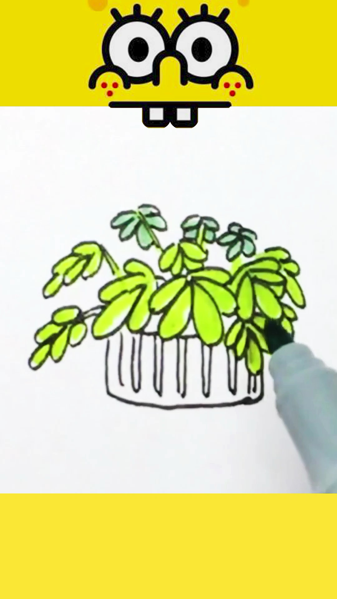 简笔画画一小盆鹅掌木盆栽