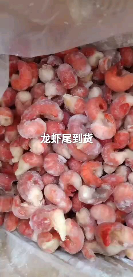 #律动一夏#