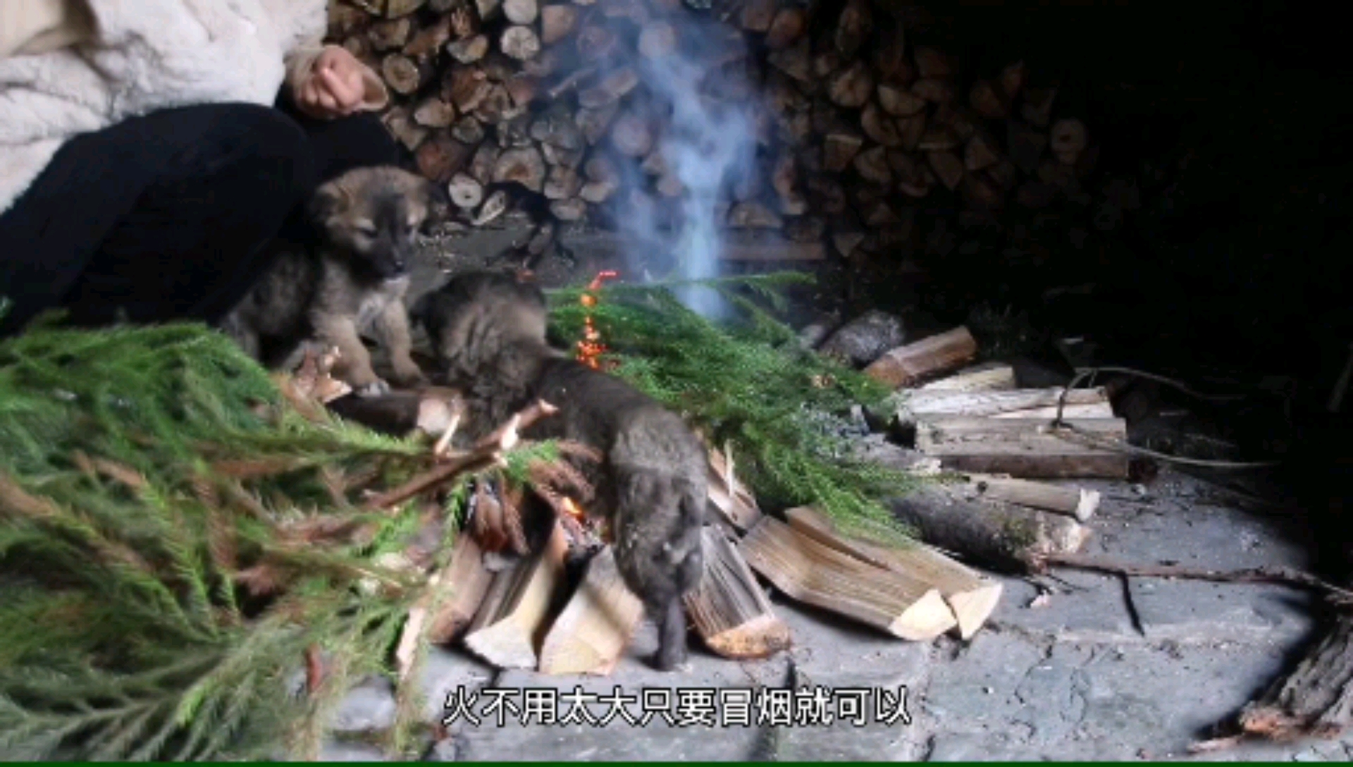 #过好冬天#芝麻红糖馅的汤圆,原味,抹茶味和可可味你喜欢哪一个?(一)