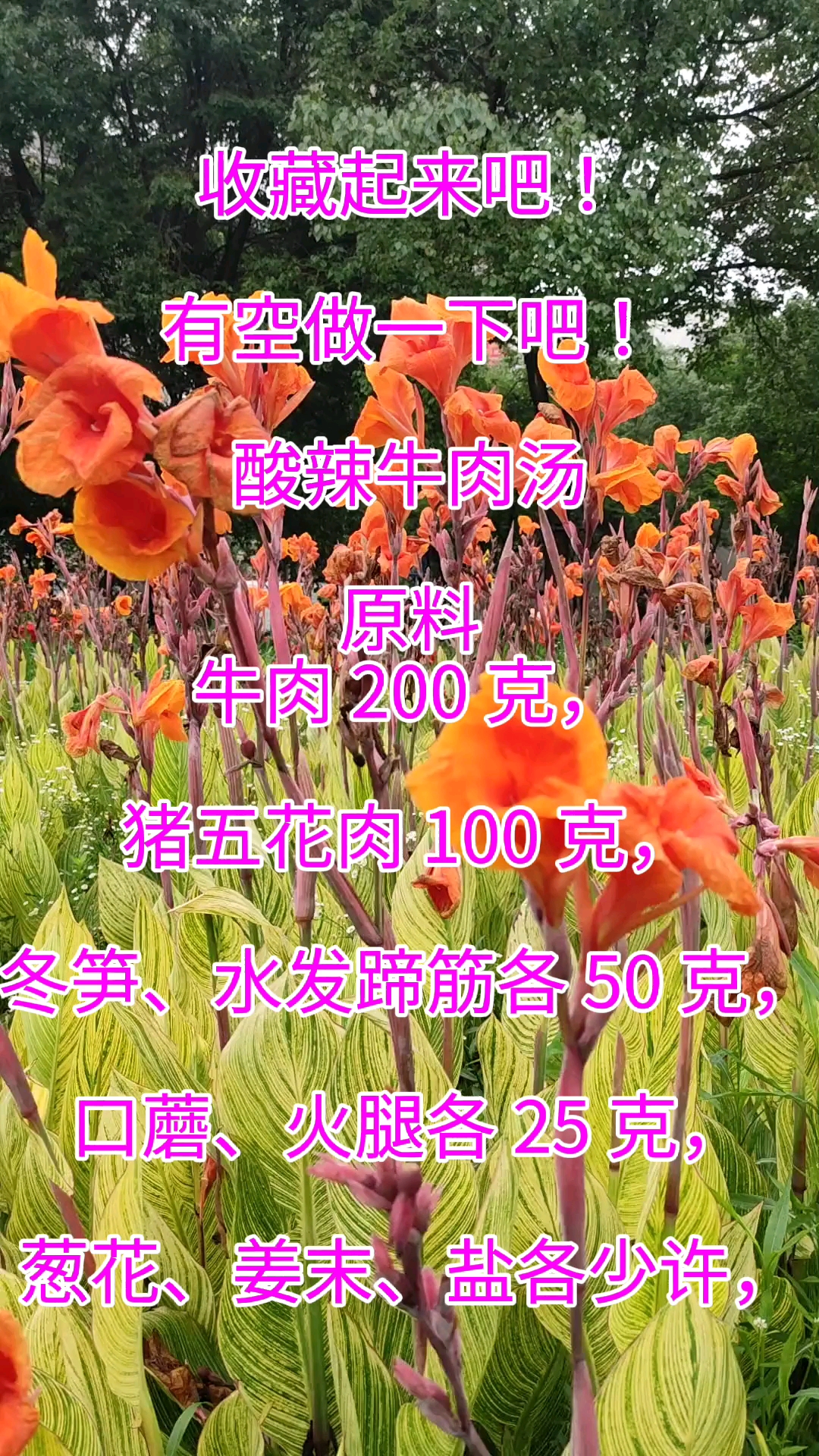 #破壳计划#收藏起来吧!找时间做一下酸辣牛肉汤吧