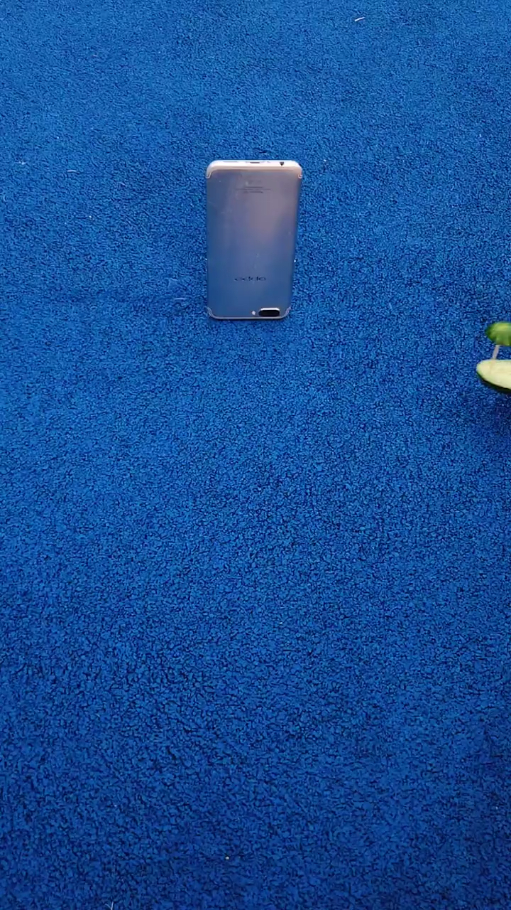 #手机摄影#黄瓜在凉拌前~先拍个好看又好玩的创意照片