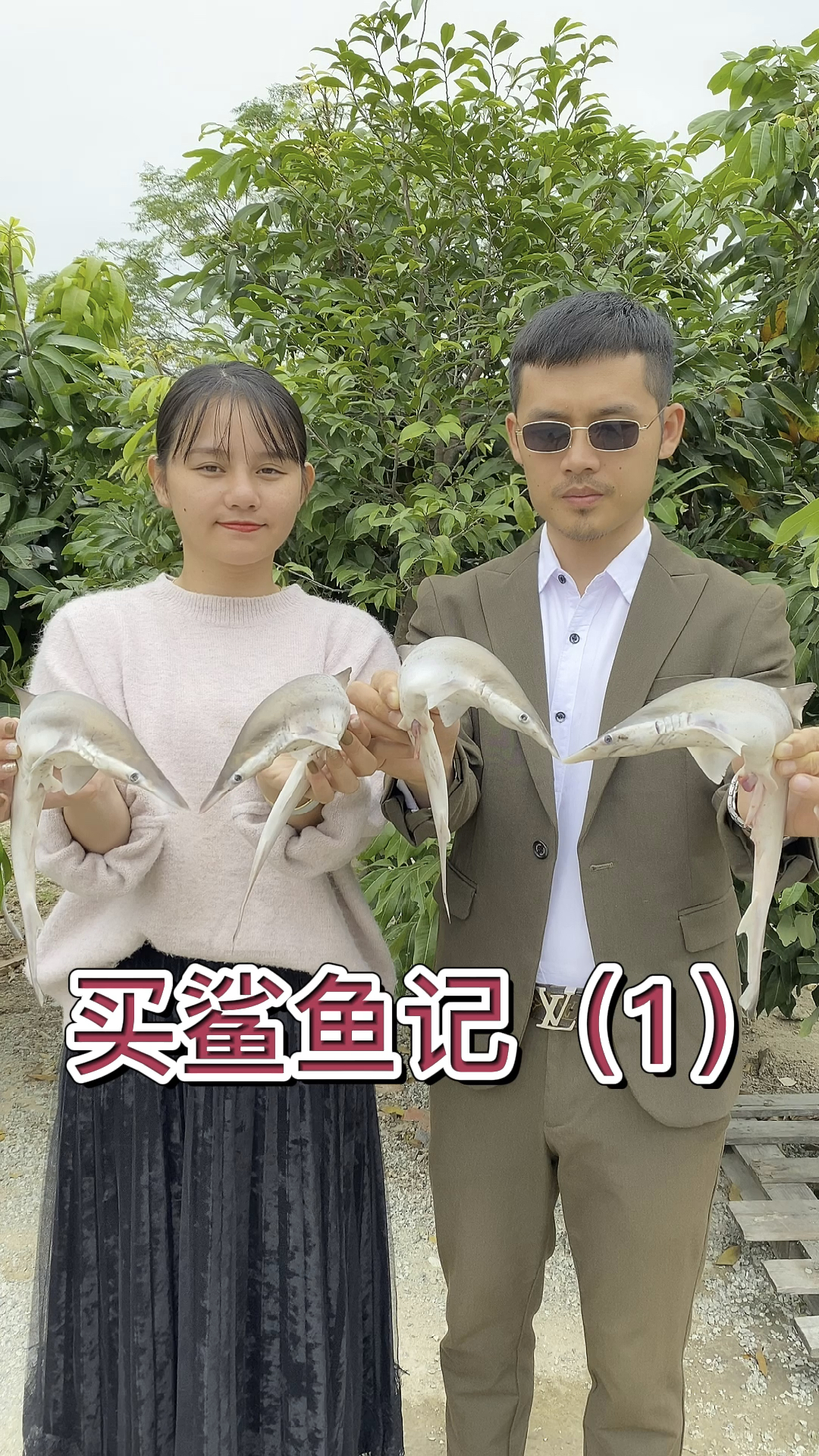 吃鲨鱼要有仪式感