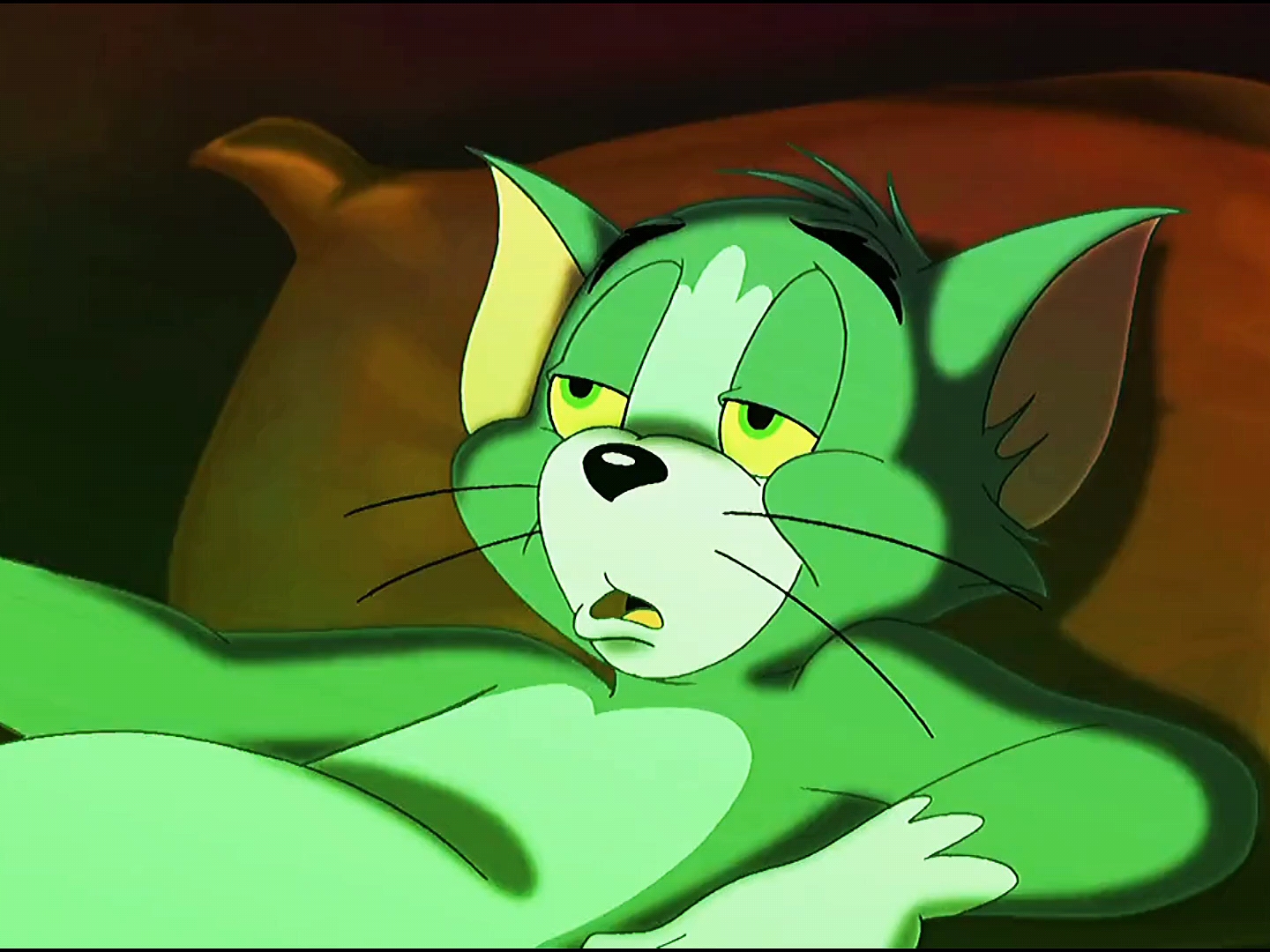 #猫和老鼠#千万别忘了汤姆可是全球捕鼠冠军