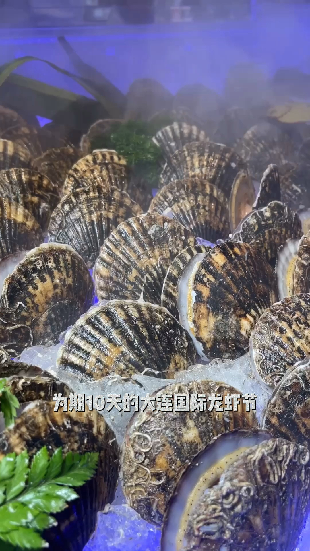 #吃喝玩乐过假期#边吃龙虾边看海景,15万只龙虾空降15库,大连人的海鲜狂欢节开始啦!