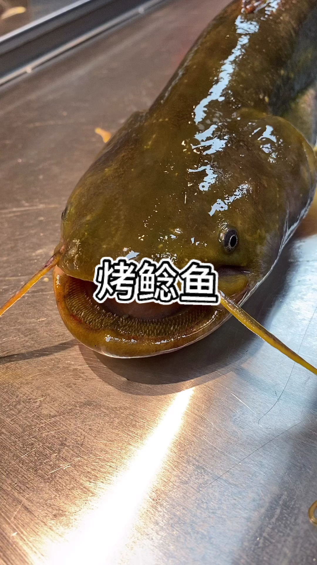 #烧烤#生烤大鲶鱼,那是真香