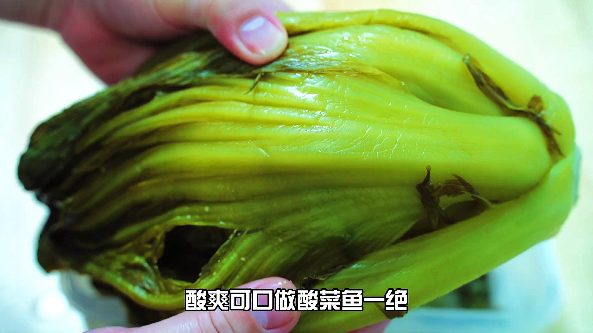 #风味人间#酸菜的腌制方法,我家一年腌一缸,一缸吃一年,酸爽脆,做酸菜鱼最香