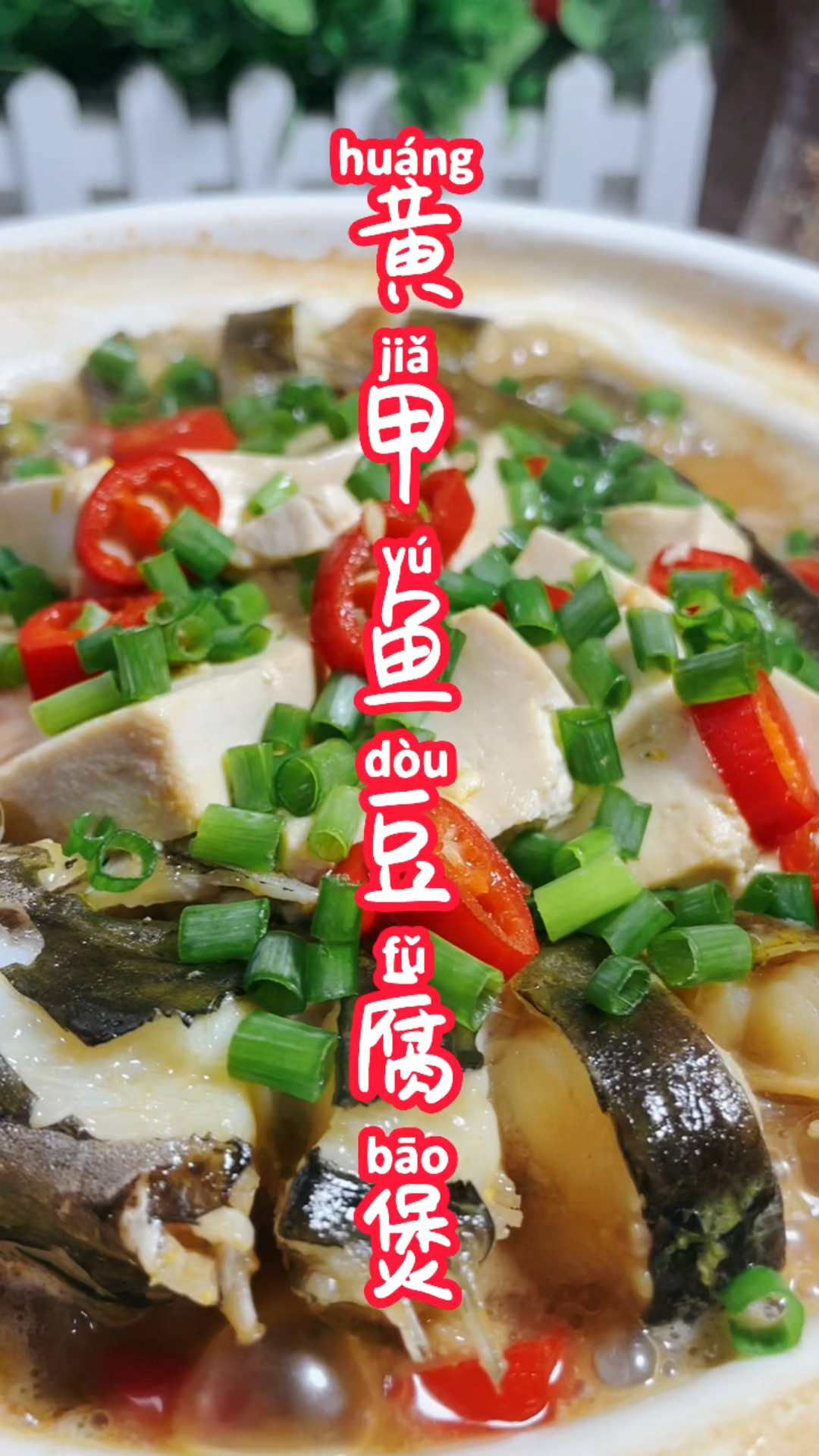 #爱美食爱生活#今日推荐:黄甲鱼豆腐煲!