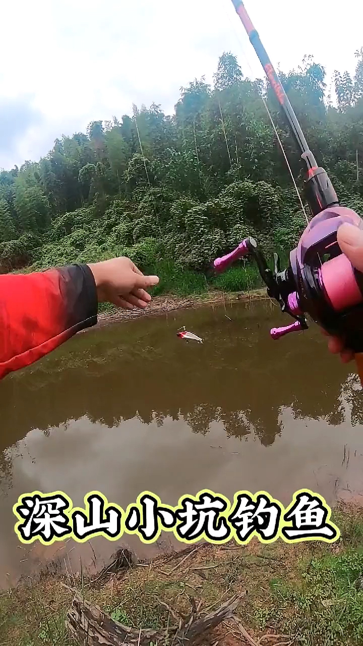 带着铁皮鱼,来试试这里的小塘