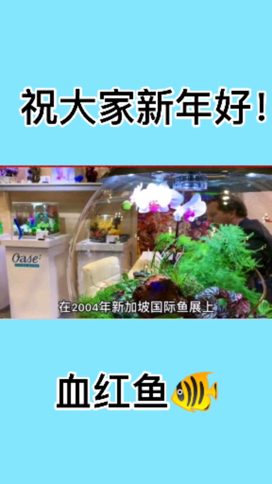 #动物世界#这个鱼有点贵!