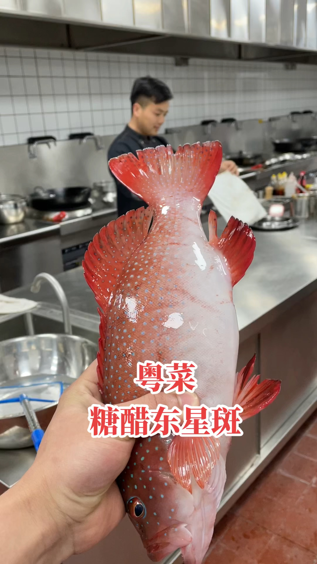 #美食看中国#糖醋鱼的天花板,糖醋东星斑