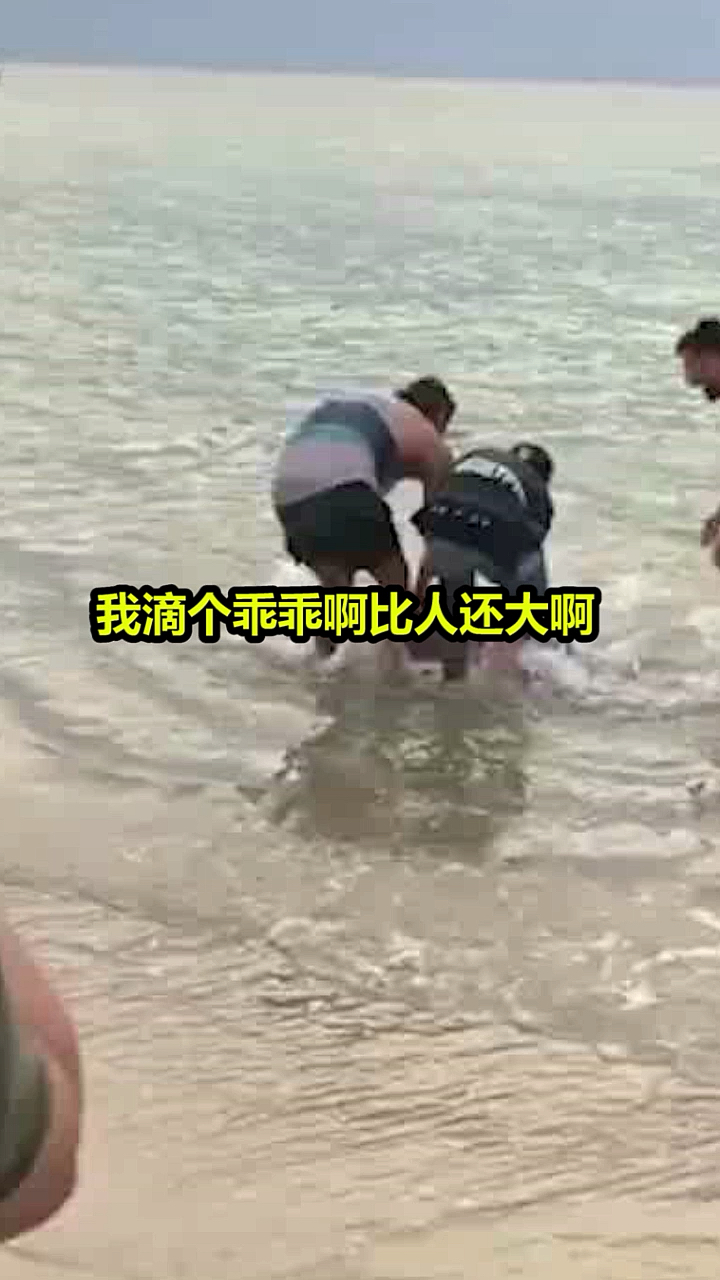 #奇闻趣事抢先看#我滴个乖乖啊!比人还大