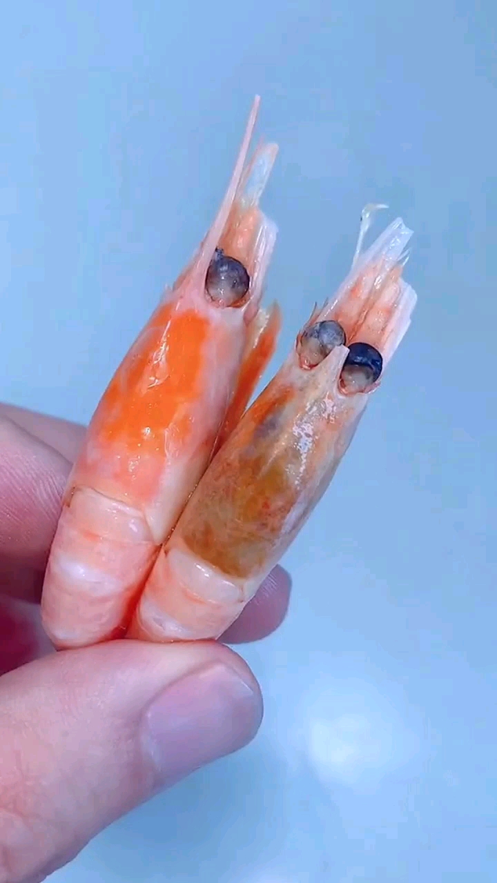 #美食教程#为什么大虾的虾头有的是黄色,有的是黑色?