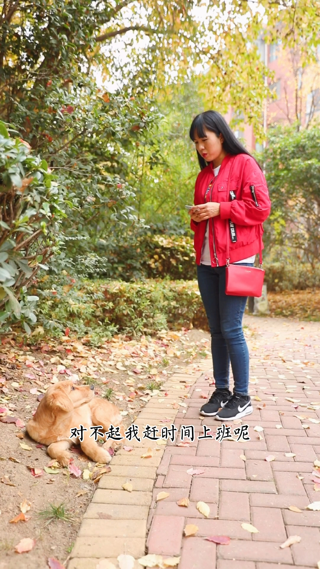 狗狗是人类最最忠诚的盆友