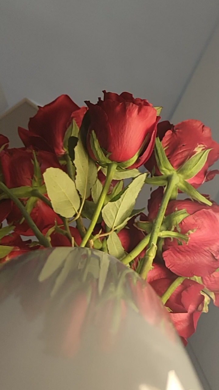 画画的baby,带刺的玫瑰和奔驰的小草鱼。