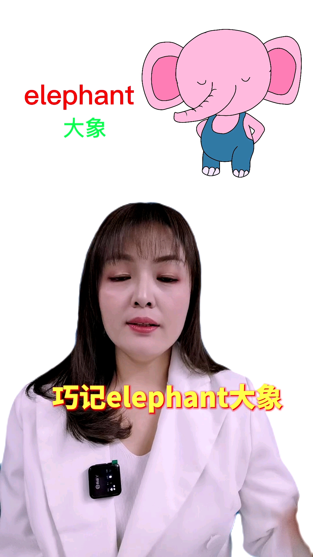 #英语#巧记英语单词elephant
