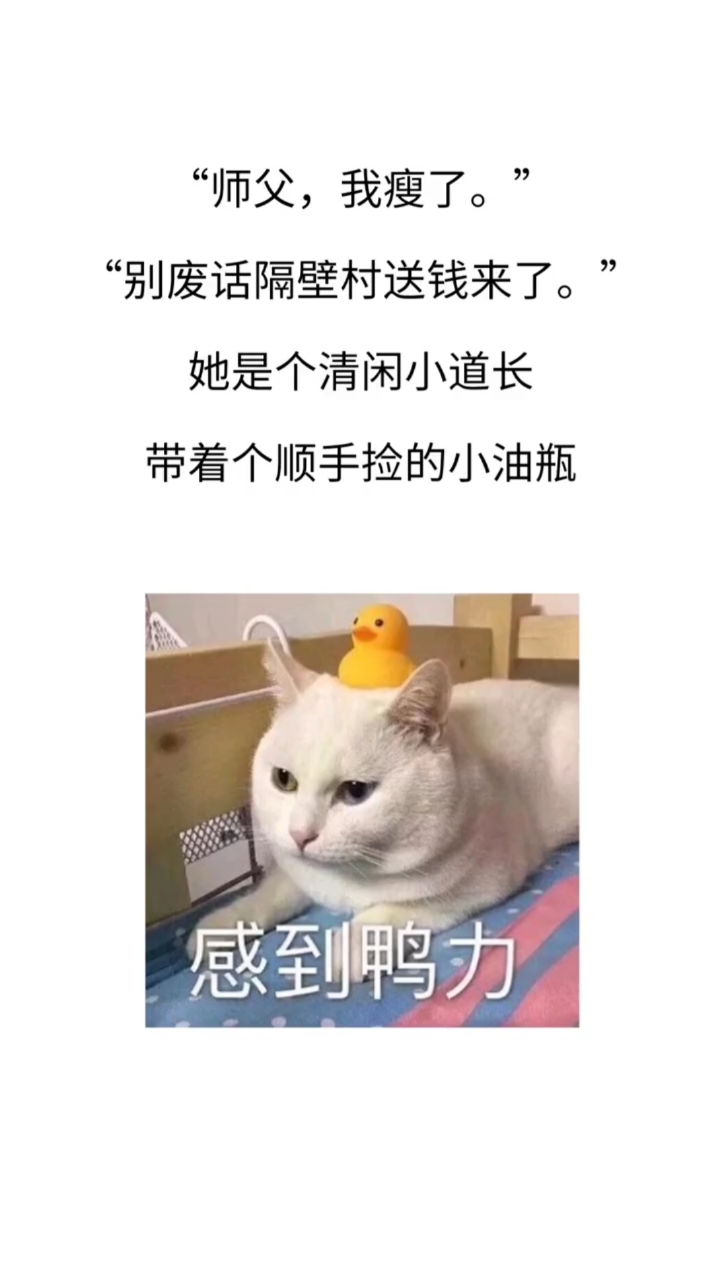 本想安静做个道观观主,竟意外穿成史上最年轻太后...小太后才不会见钱眼开