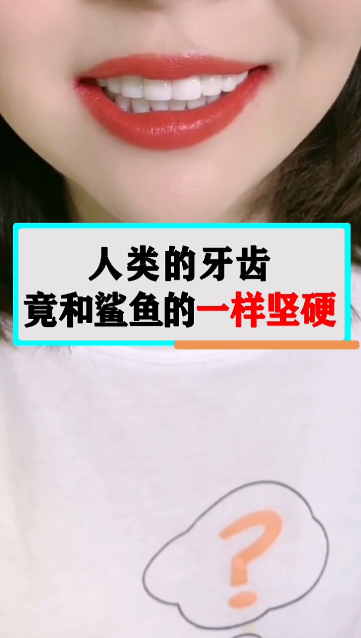 人类的牙齿,竟和鲨鱼一样坚硬!