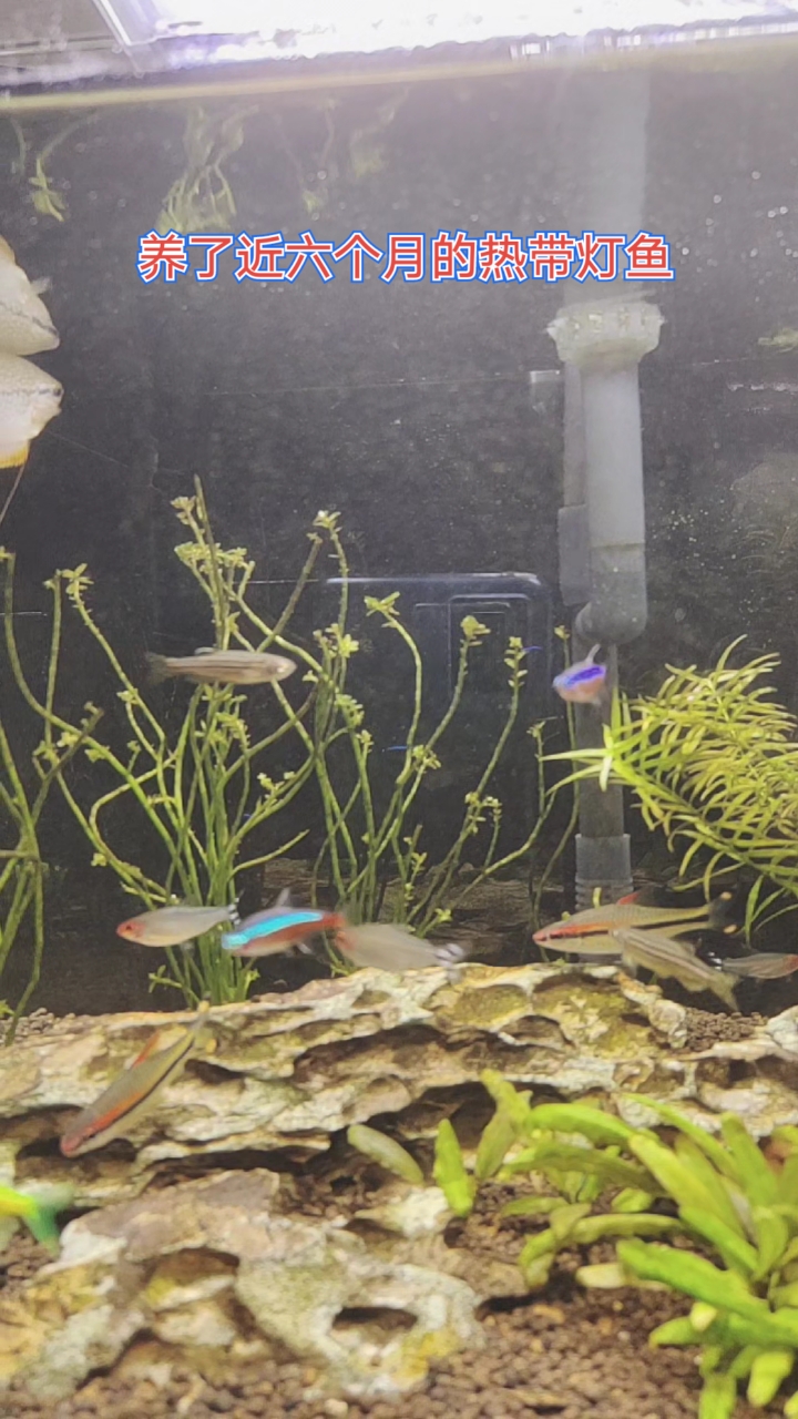 #记录生活#这品相正吧?