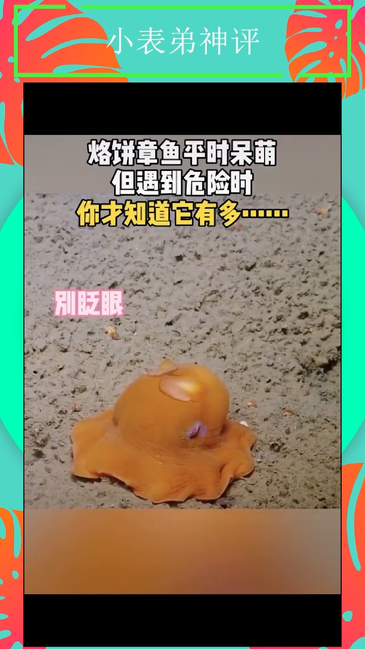 可可爱爱没有脑袋