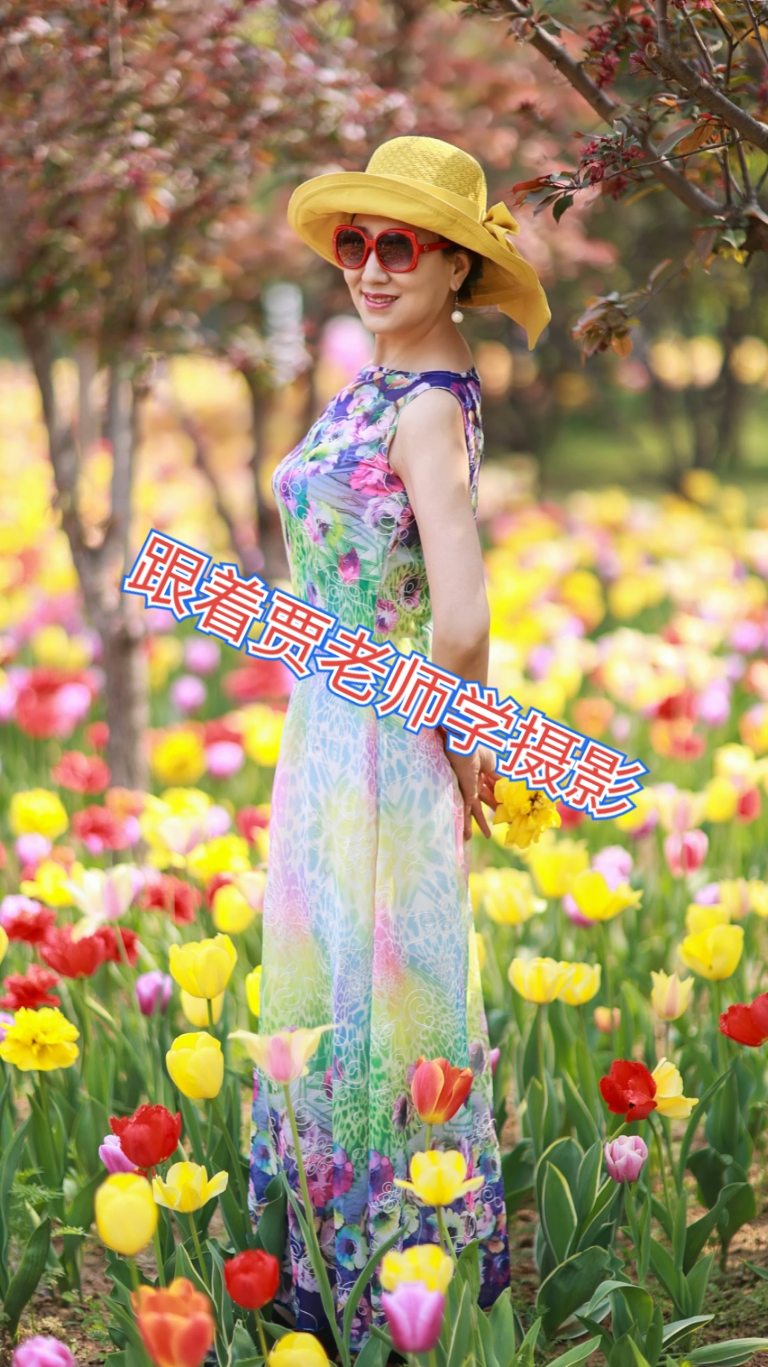 #摄影技巧#跟着贾老师学习拍照口令,郑州绿博园拍一组郁金香的照片