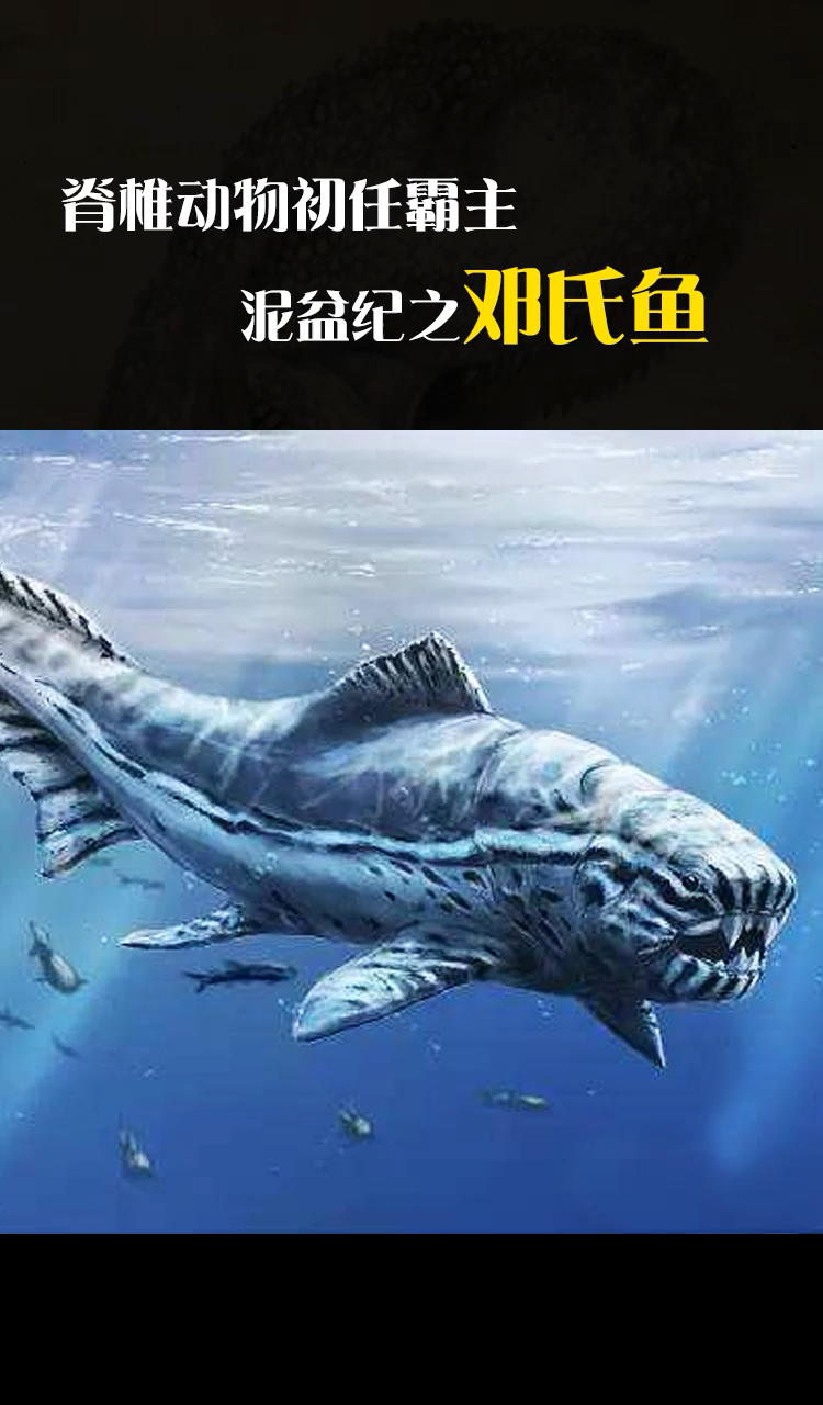 #史前生物#泥盆纪海洋霸主邓氏鱼