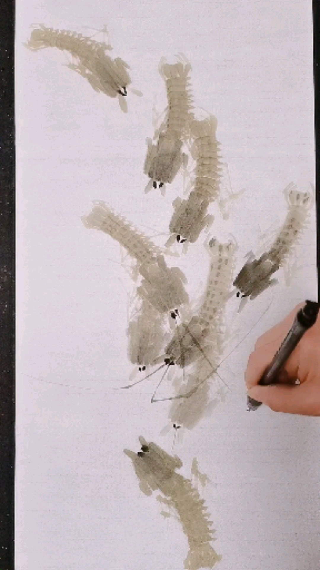 #我要上热门#皮皮虾画法仔细看